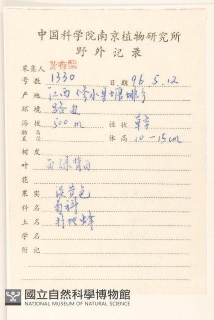 野大豆、烏豆藏品圖，第2張