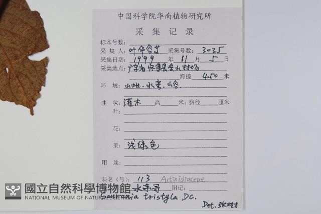 水東哥藏品圖，第2張