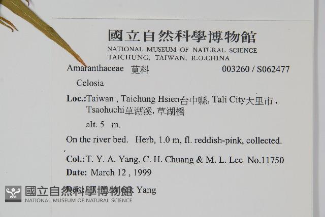 登錄號:S062477藏品圖，第2張