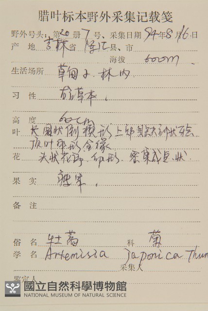 牡蒿藏品圖，第2張