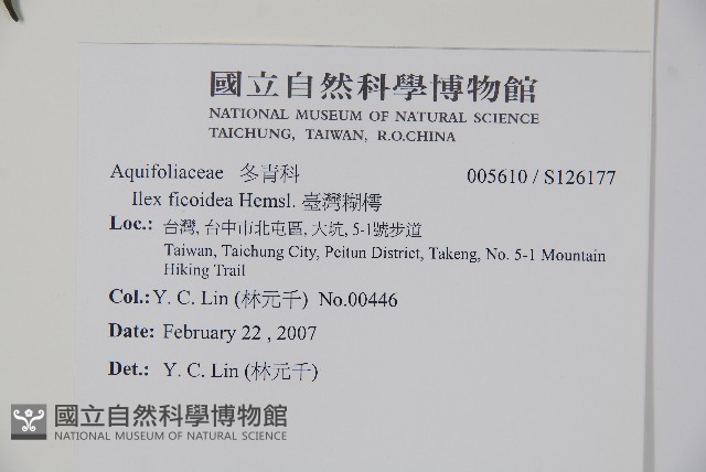臺灣糊樗藏品圖，第2張