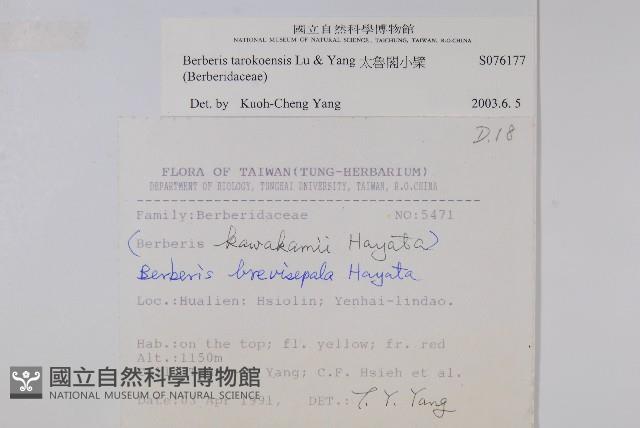 太魯閣小檗藏品圖，第2張