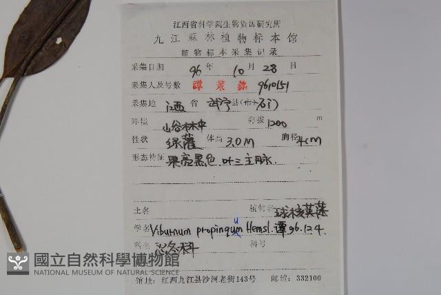 高山莢迷藏品圖，第2張