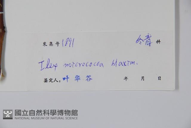 朱紅水木藏品圖，第2張