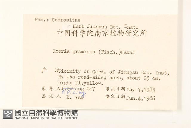 禾葉兔仔菜藏品圖，第2張