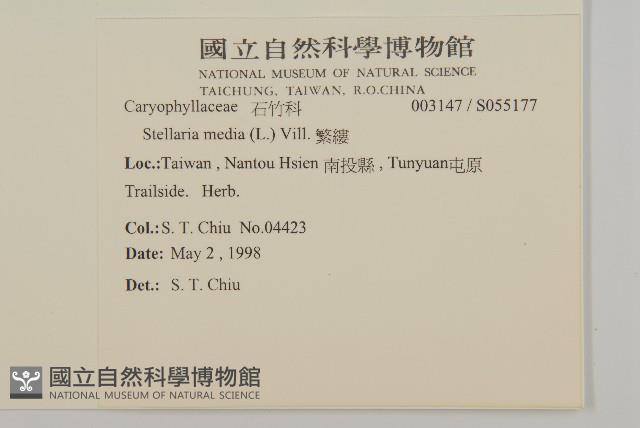 繁縷藏品圖，第2張