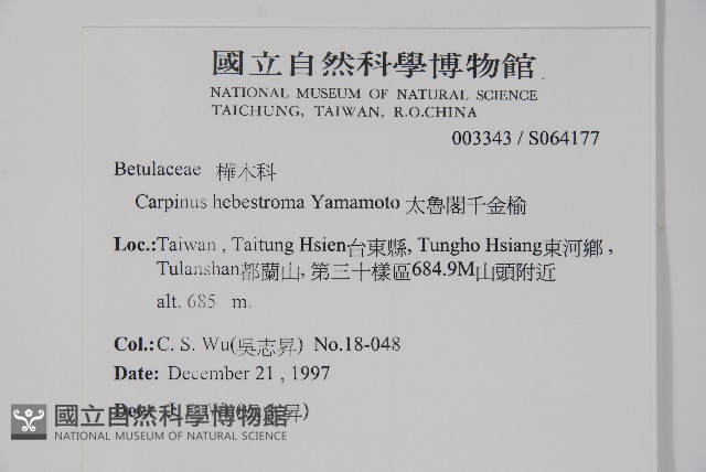 太魯閣千金榆藏品圖，第2張