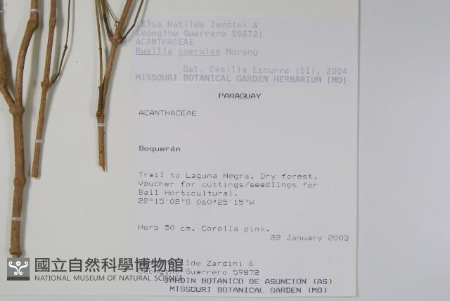 登錄號:S113177藏品圖，第2張