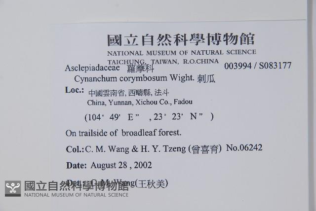 刺瓜藏品圖，第2張