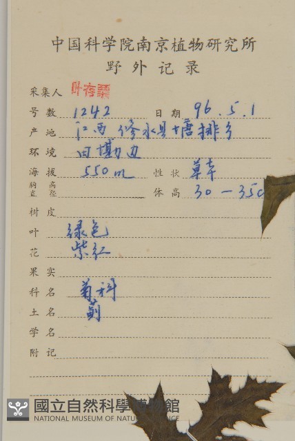 飛廉藏品圖，第2張