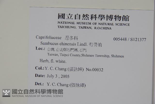 冇骨消藏品圖，第2張