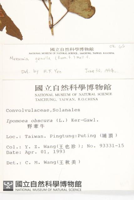 菜欒藤藏品圖，第2張