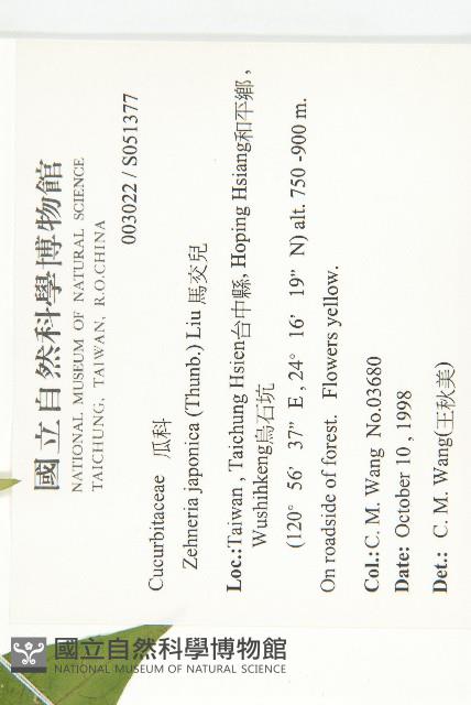 馬交兒藏品圖，第2張