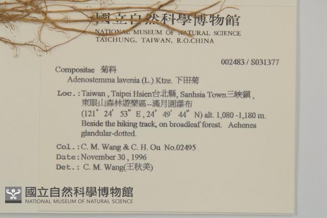 下田菊藏品圖，第2張