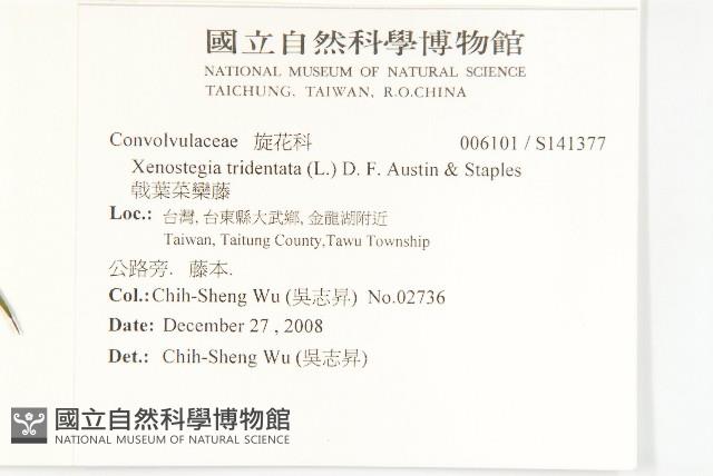 Accession Number:S141377 Collection Image, Figure 2, Total 2 Figures