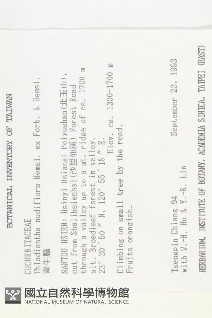 青牛膽藏品圖，第2張