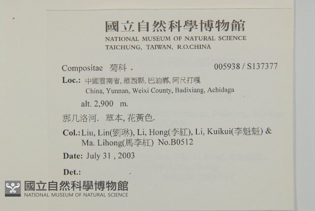 登錄號:S137377藏品圖，第2張