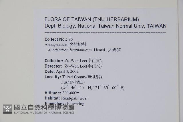 大錦蘭藏品圖，第2張