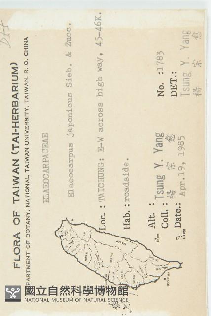 薯豆藏品圖，第2張