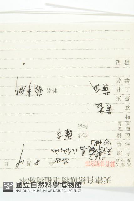 胡瓜、刺瓜藏品圖，第2張