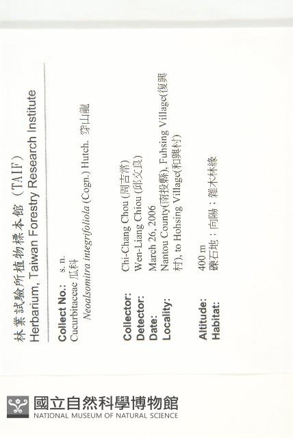 穿山龍藏品圖，第2張