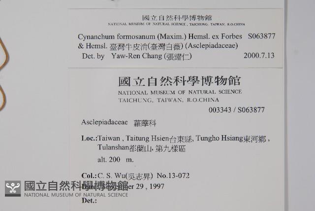 臺灣牛皮消、臺灣白薇藏品圖，第2張