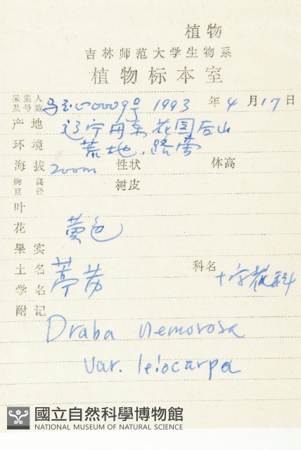 葶藶藏品圖，第2張