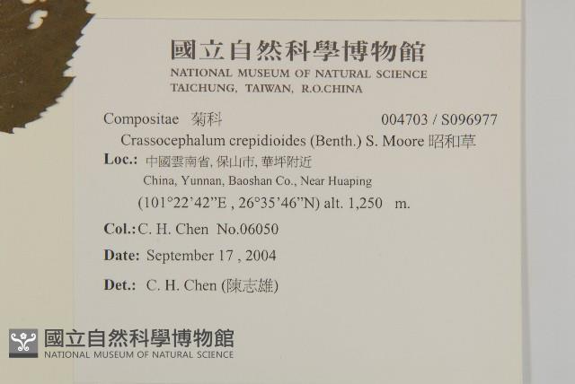 昭和草藏品圖，第2張