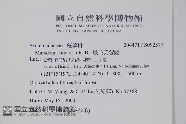 絨毛芙蓉蘭藏品圖，第2張