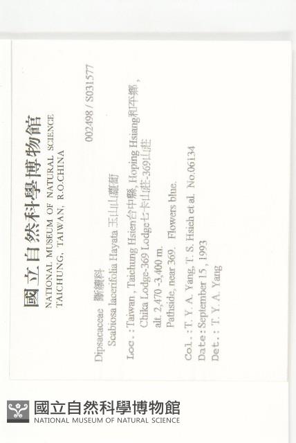 玉山山蘿蔔藏品圖，第2張