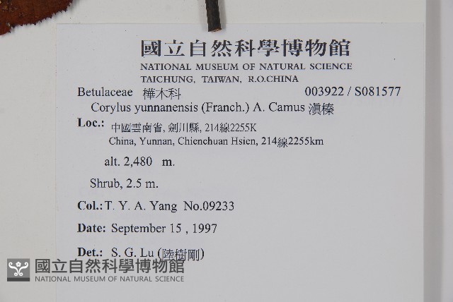 滇榛藏品圖，第2張