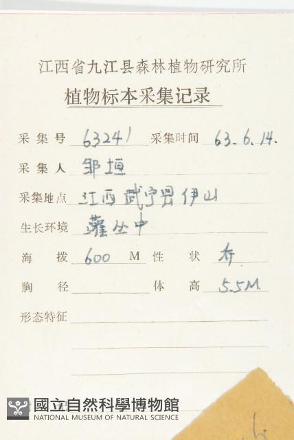 華杜英藏品圖，第2張