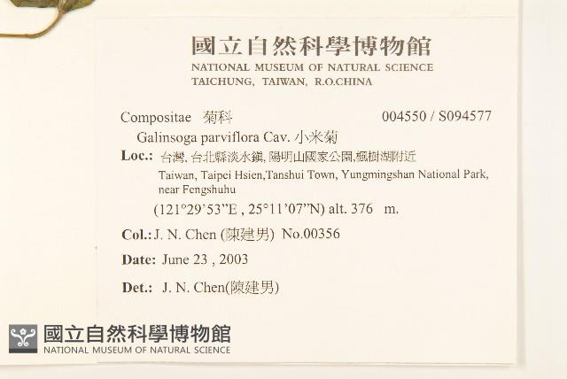 小米菊藏品圖，第2張