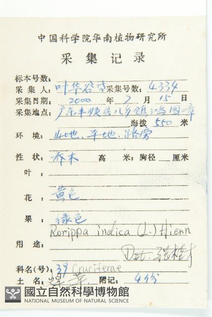 葶藶藏品圖，第2張