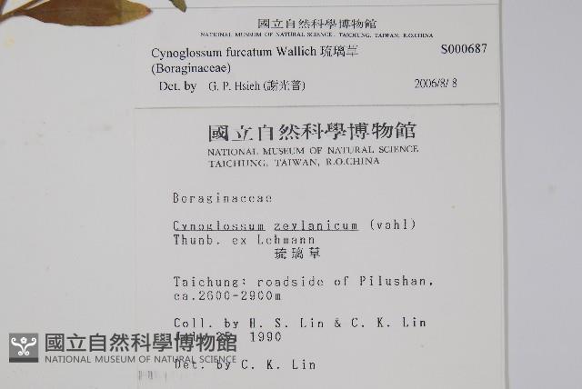 Accession Number:S000687 Collection Image, Figure 2, Total 2 Figures