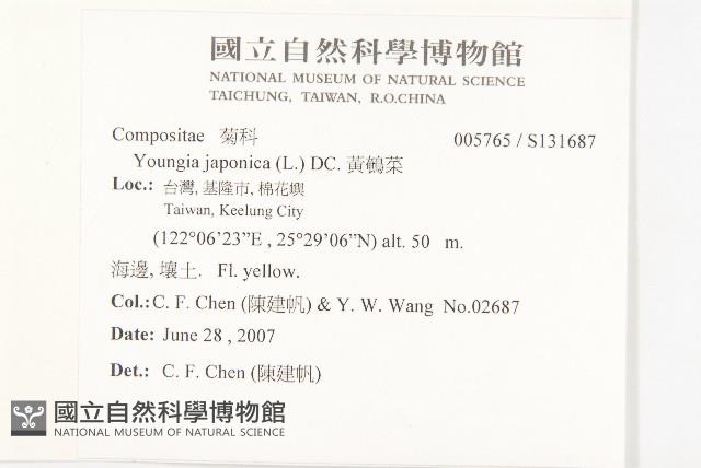 黃鵪菜藏品圖，第2張