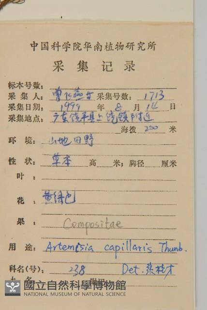 茵蔯蒿藏品圖，第2張