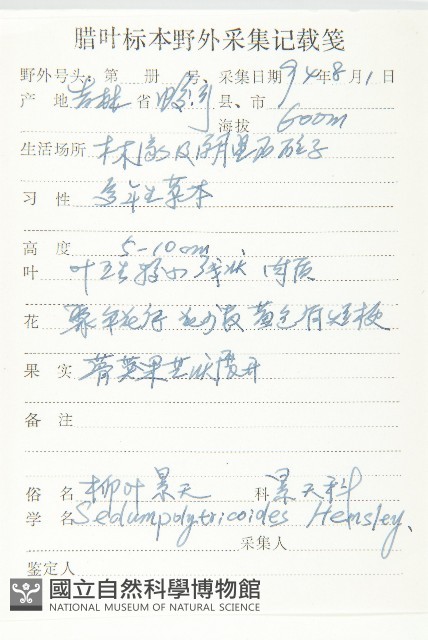 蘚狀景天藏品圖，第2張