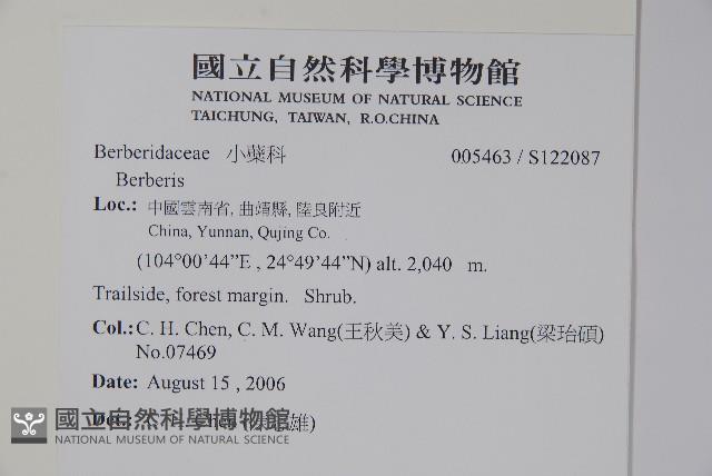 金花小檗藏品圖，第2張