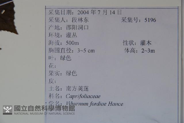 南方莢迷藏品圖，第2張