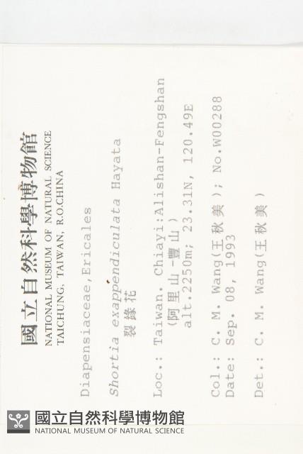 裂緣花藏品圖，第2張