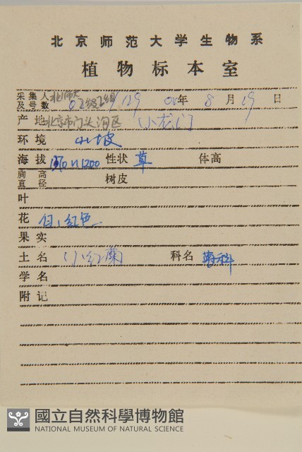 小紅菊藏品圖，第2張