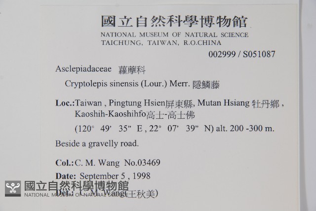 隱鱗藤藏品圖，第2張