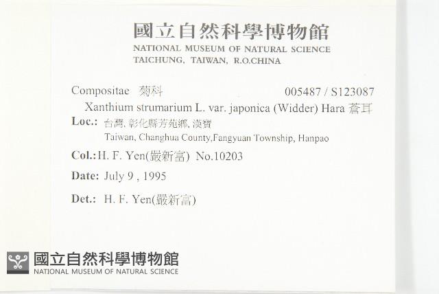 蒼耳藏品圖，第2張