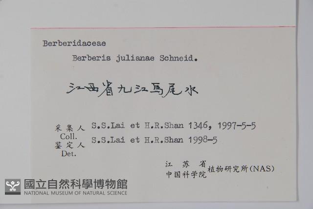 濠豬刺藏品圖，第2張