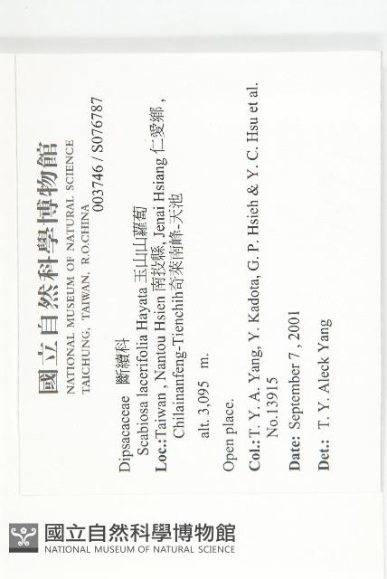 玉山山蘿蔔藏品圖，第2張