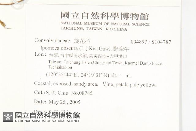 野牽牛藏品圖，第2張