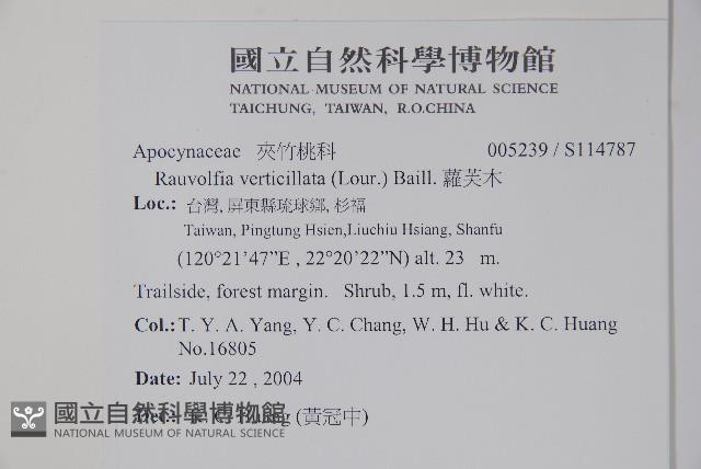 蘿芙木藏品圖，第2張