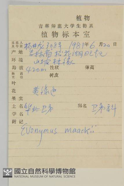 華北衛矛藏品圖，第2張