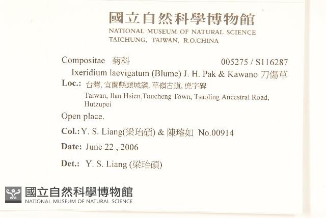 刀傷草藏品圖，第2張